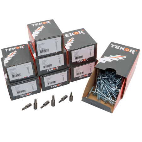 1 x TEKOR EMBALAR PRO 1200 Tornillo cabeza fresada/testa svasat dentado TORX Acero cincado blanco