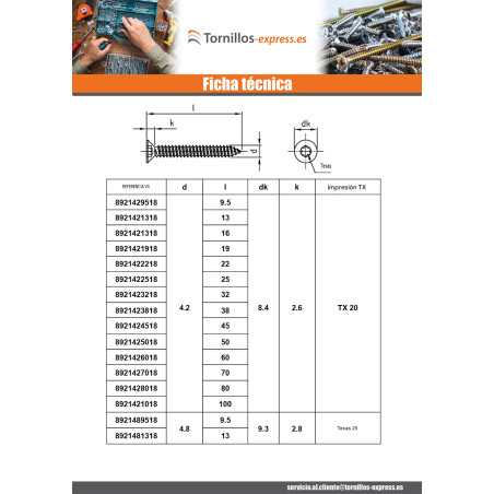 1 x Tornillo chapa cabeza fresada/testa svasat 3.9X55 TORX T15 Inoxidable A4