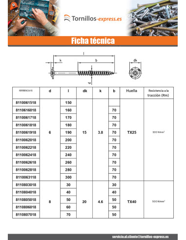 1 x Tornillo estructura cabeza disco Inoxidable...