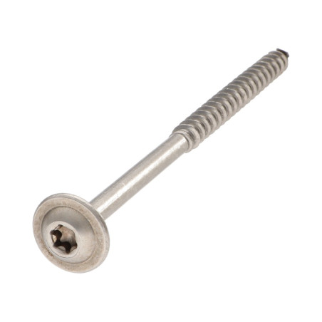 1 x Tornillo estructura cabeza disco Inoxidable A2 4X40 roscado en 24 TORX T20 diámetro de cabeza: 12