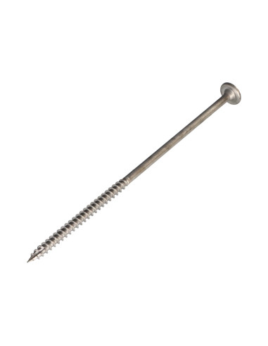 1 x Tornillo estructura cabeza disco Inoxidable...