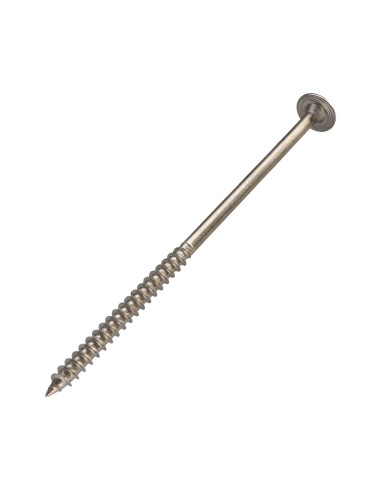1 x Tornillo estructura cabeza disco Inoxidable...