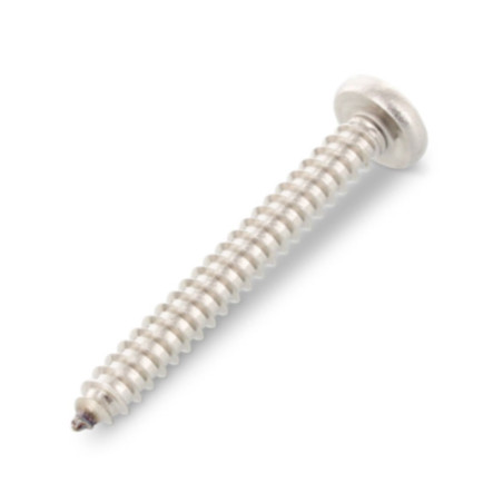 1 x Tornillo chapa cabeza cilíndrica abombada 5.5X90 TORX T25 Inoxidable A4
