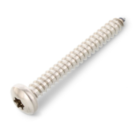 1 x Tornillo chapa cabeza cilíndrica abombada 4.8X60 TORX T25 Inoxidable A4