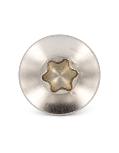 1 x Tornillo chapa cabeza cilíndrica abombada...