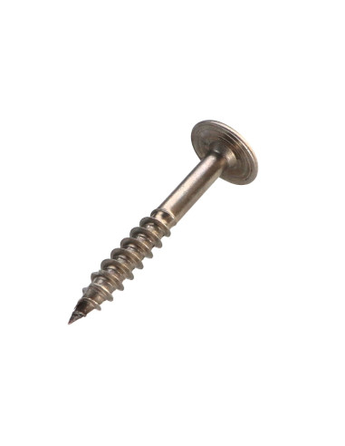 1 x Tornillo estructura cabeza disco Inoxidable...