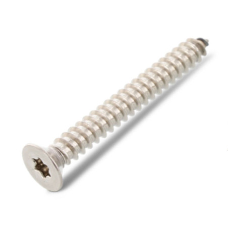 1 x Tornillo chapa cabeza fresada/testa svasat 2.9X32 TORX T10 Inoxidable A4