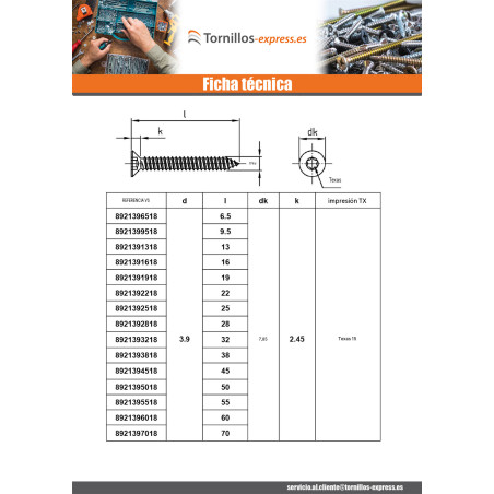 1 x Tornillo chapa cabeza fresada/testa svasat 2.9X32 TORX T10 Inoxidable A4