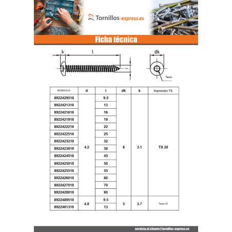 1 x Tornillo chapa cabeza cilíndrica abombada 4.2X19 TORX T20 Inoxidable A4