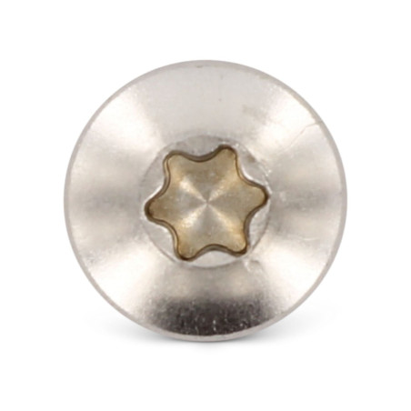 1 x Tornillo chapa cabeza cilíndrica abombada 5.5X80 TORX T25 Inoxidable A4