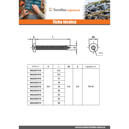 1 x Tornillo chapa cabeza cilíndrica abombada 6.3X32 TORX T30 Inoxidable A4