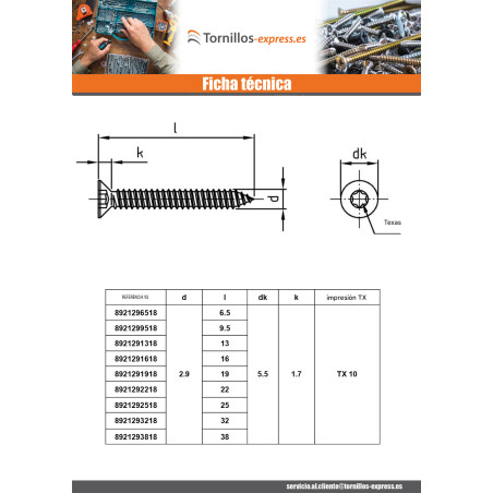 1 x Tornillo chapa cabeza fresada/testa svasat 5.5X100 TORX T25 Inoxidable A4