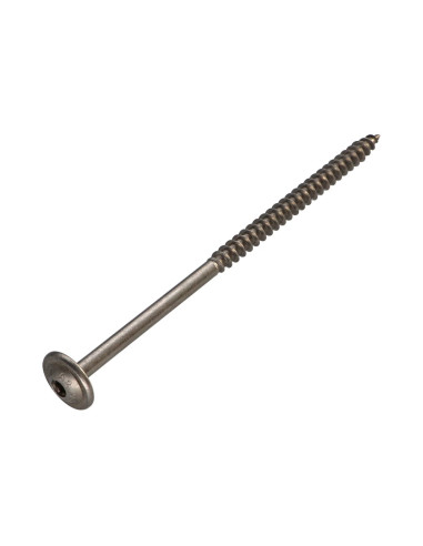 1 x Tornillo estructura cabeza disco Inoxidable...