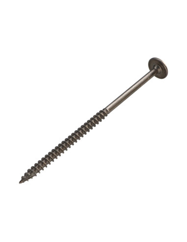 1 x Tornillo estructura cabeza disco Inoxidable...