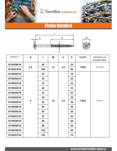 1 x Tornillo estructura cabeza disco Inoxidable...