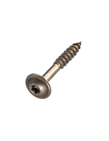 1 x Tornillo estructura cabeza disco Inoxidable...