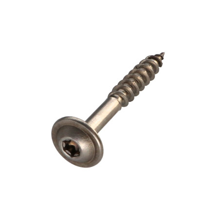 1 x Tornillo estructura cabeza disco Inoxidable A2 8X50 roscado total TORX T40 diámetro de cabeza: 20