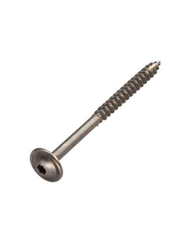 1 x Tornillo estructura cabeza disco Inoxidable...