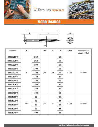 1 x Tornillo estructura cabeza disco Inoxidable...