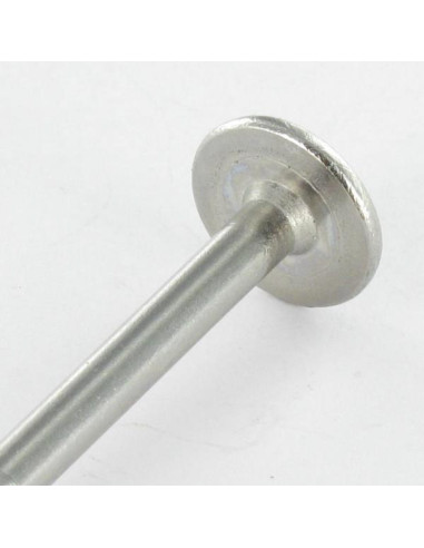1 x Tornillo estructura cabeza disco Inoxidable...