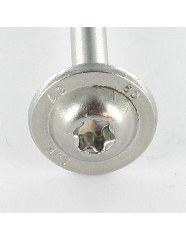 1 x Tornillo estructura cabeza disco Inoxidable...