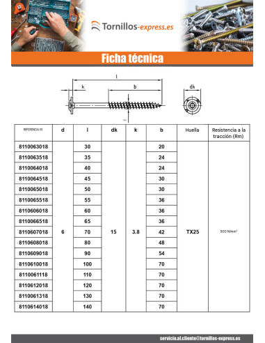 1 x Tornillo estructura cabeza disco Inoxidable...