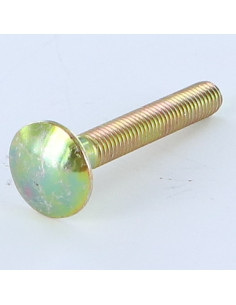 Cabeza redonda cuello cuadrado M5X35 roscado total Bicromato