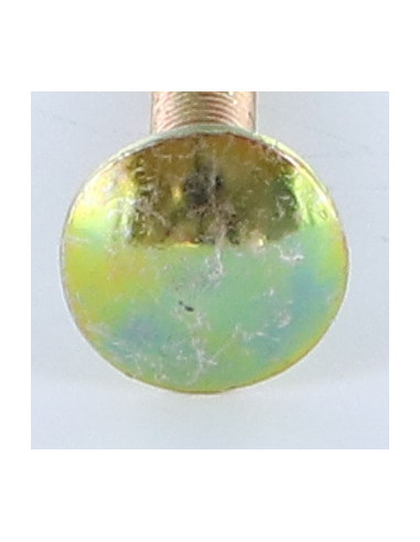 1 x Cabeza redonda cuello cuadrado M5X35...