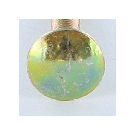 1 x Cabeza redonda cuello cuadrado M5X35 roscado total Bicromato