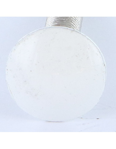1 x Cabeza redonda cuello cuadrado M6X50...