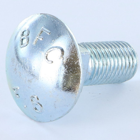 1 x Cabeza redonda cuello cuadrado M16X50 roscado en 50 Clase 8.8 Acero cincado blanco diámetro de cabeza: 30 cuadrado 16