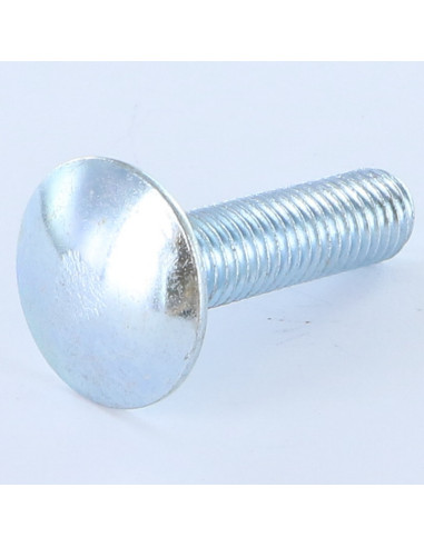 1 x Cabeza redonda cuello cuadrado M10X20...