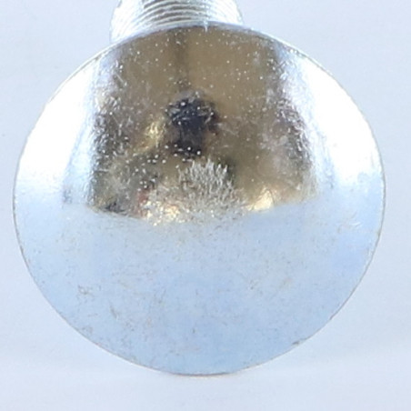 1 x Cabeza redonda cuello cuadrado M10X20 roscado total Clase 8.8 Acero cincado blanco