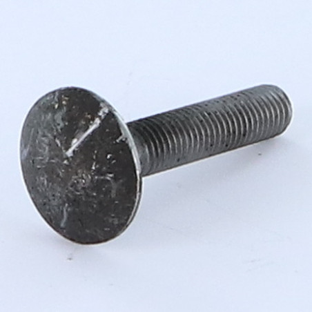 1 x Cabeza redonda cuello cuadrado M7X35 paso de 100 roscado total Acero bruto