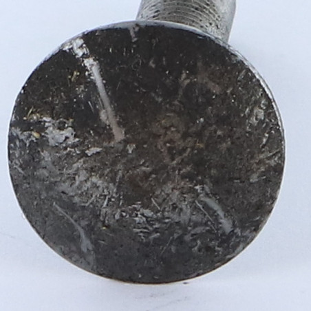 1 x Cabeza redonda cuello cuadrado M7X35 paso de 100 roscado total Acero bruto