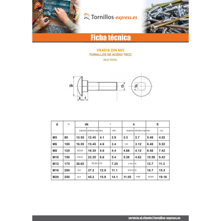 1 x Cabeza redonda cuello cuadrado M6X25 roscado total Acero cincado blanco