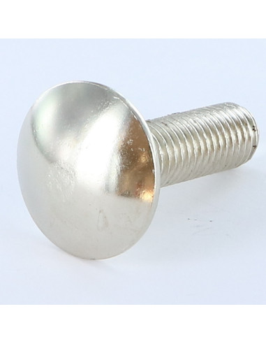 1 x Cabeza redonda cuello cuadrado M12X40...