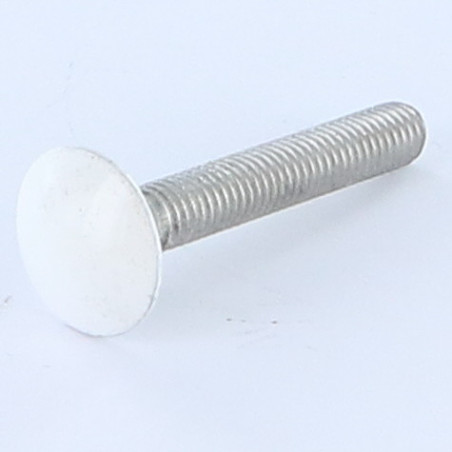1 x Cabeza redonda cuello cuadrado M7X40 paso de 100 roscado total Aluminio RAL9016 blanco tráfico 80%B