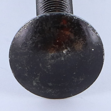 1 x Cabeza redonda cuello cuadrado M6X55 roscado total Acero cincado negro