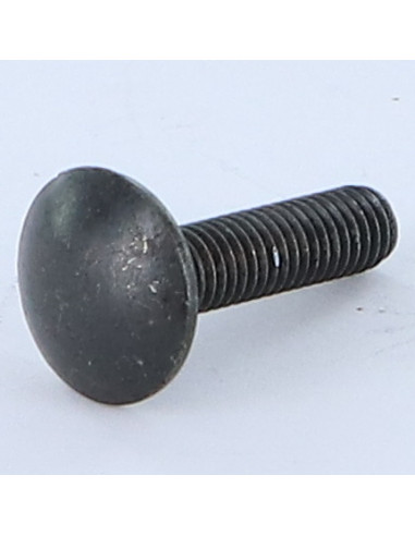 1 x Cabeza redonda cuello cuadrado M8X16...