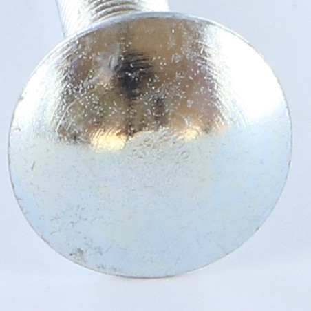 1 x Cabeza redonda cuello cuadrado M10X50 roscado total Acero cincado blanco