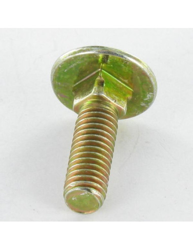 1 x Cabeza redonda cuello cuadrado M8X70...