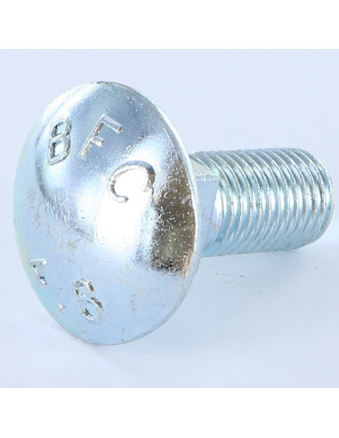 1 x Cabeza redonda cuello cuadrado M16X50...