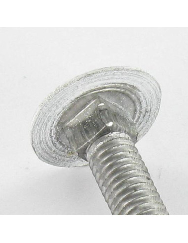 1 x Cabeza redonda cuello cuadrado M7X65 paso...