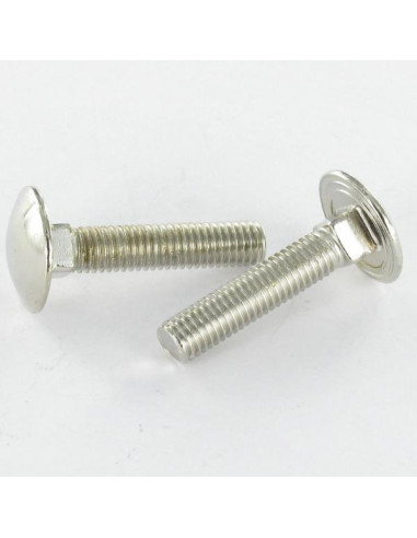 1 x Cabeza redonda cuello cuadrado M5X25...