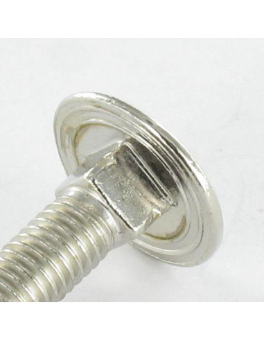 1 x Cabeza redonda cuello cuadrado M5X25...