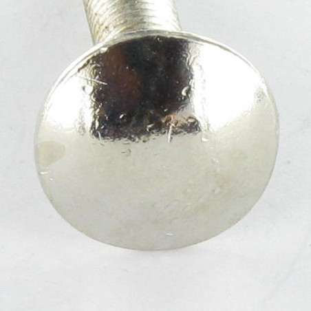 1 x Cabeza redonda cuello cuadrado M5X25 roscado total Acero niquelado