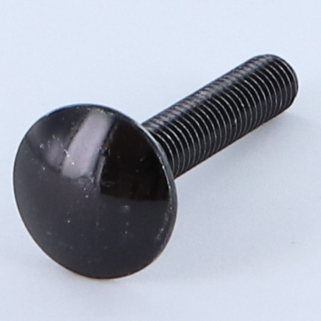 1 x Cabeza redonda cuello cuadrado M6X45 roscado total Acero cincado negro