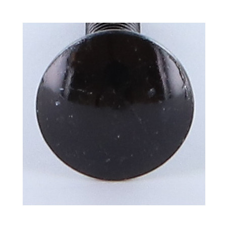 1 x Cabeza redonda cuello cuadrado M6X45 roscado total Acero cincado negro