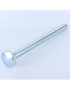 Cabeza redonda cuello cuadrado M14X60 roscado total Clase...